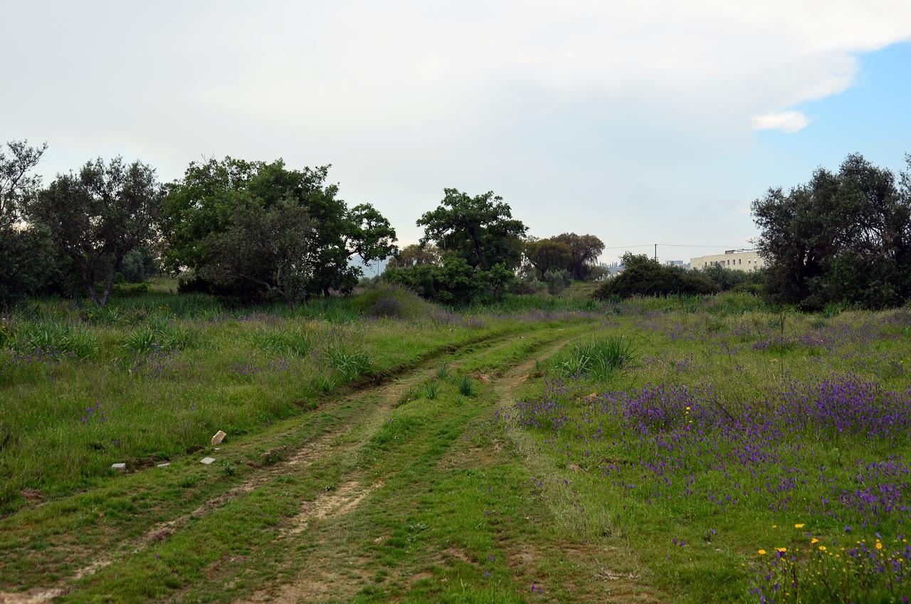 Rm Newhost 2015 / Casadochico Hotel Portalegre Kültér fotó